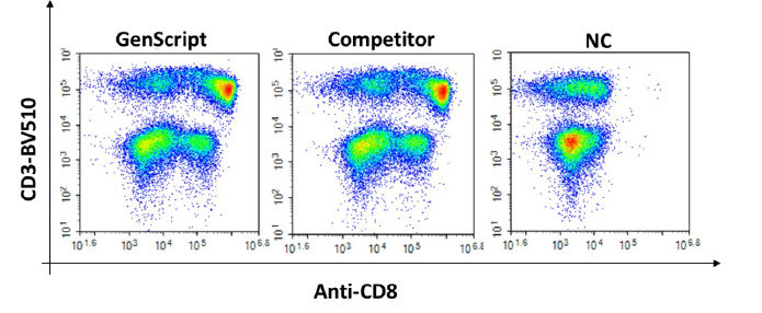 Human peripheral blood mononuclear cells were stainned by Anti-CD8