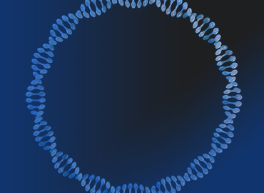GenCRISPR™ gRNA/Cas9质粒
